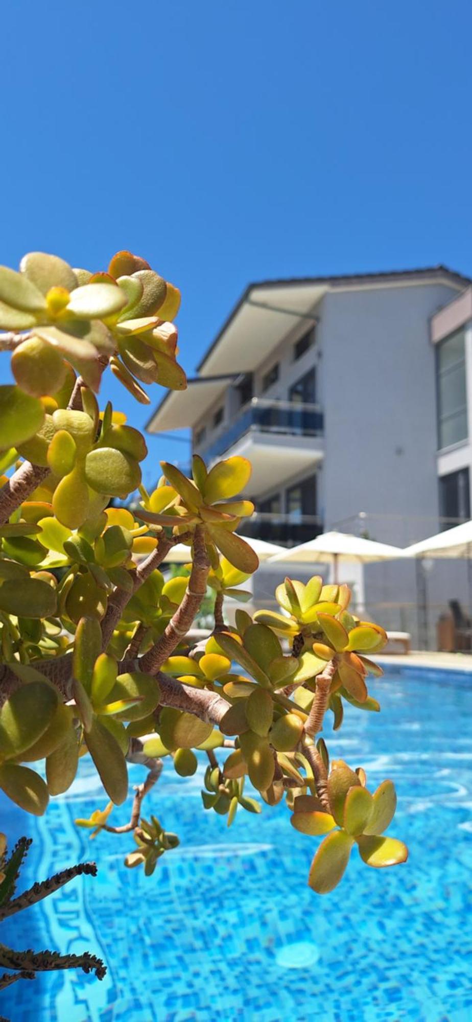 Sarti Thea Hotel Exterior foto